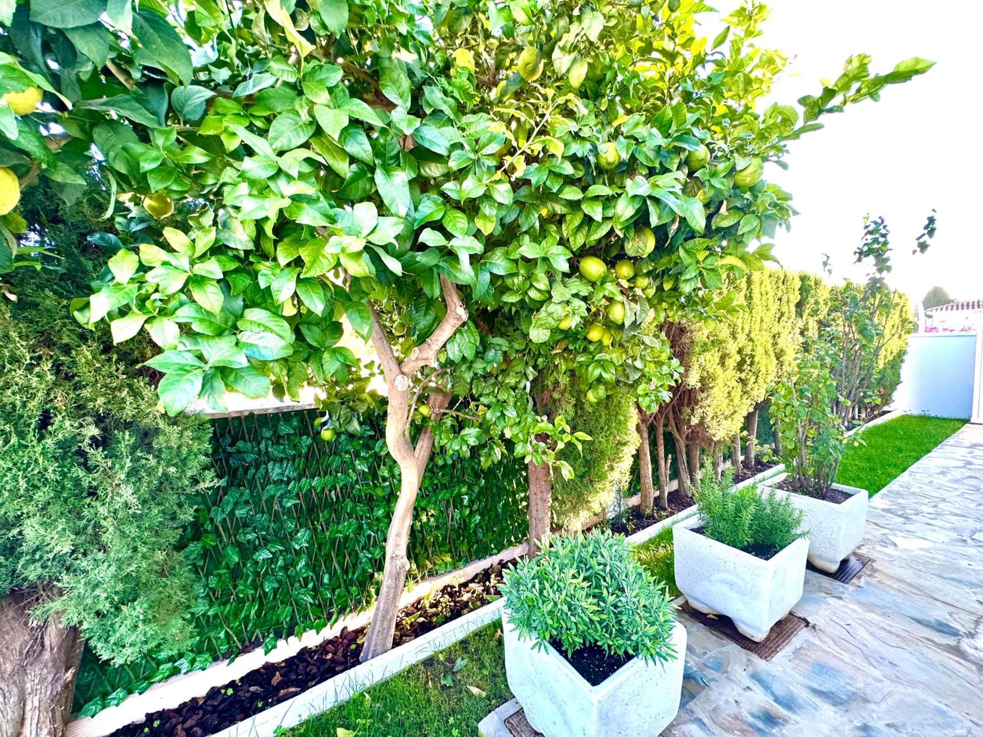 Villa Casacara Marbella Beachside Costabella -Spain Zewnętrze zdjęcie